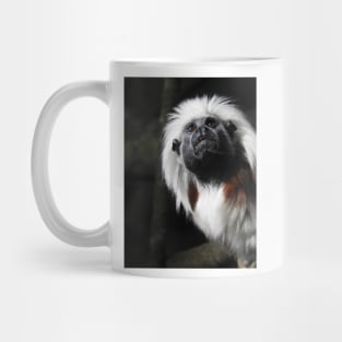 Cotton Top Tamarin Mug